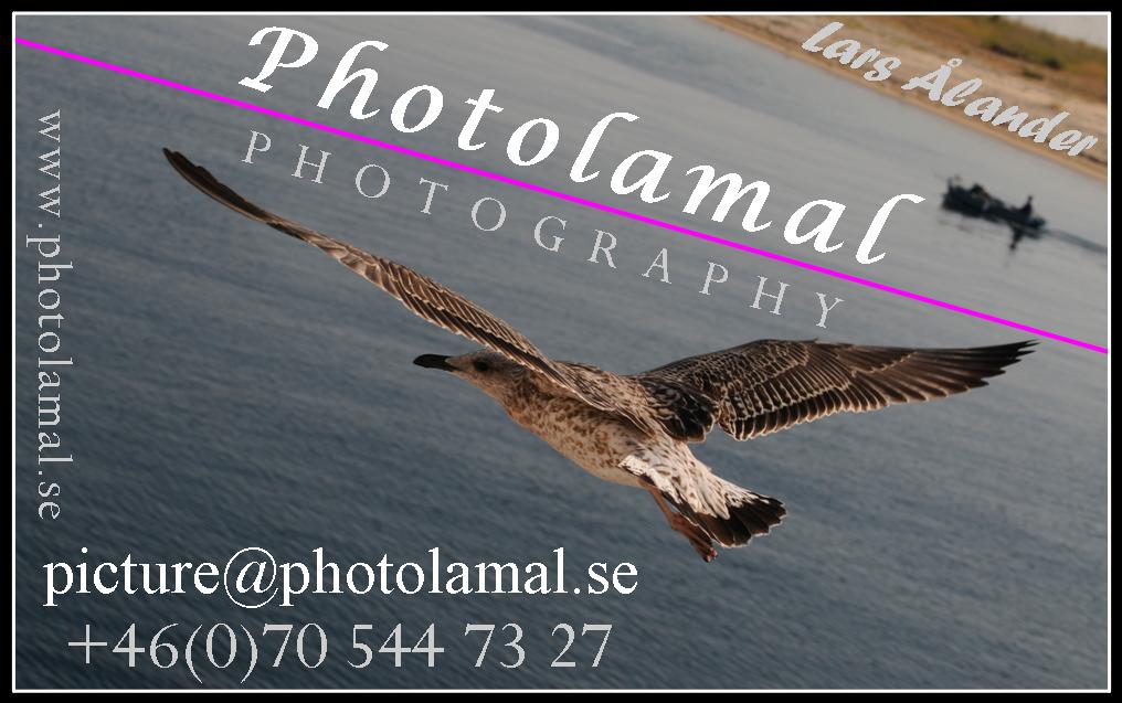 Photolamal, Fotograf: Lars Ålander, picture@photolamal.se , mobil: 0705447327